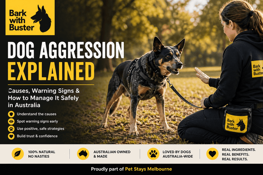 Dog Aggression Explained: Causes, Warning Signs & How to Manage It Safely in Australia - Bark with Buster