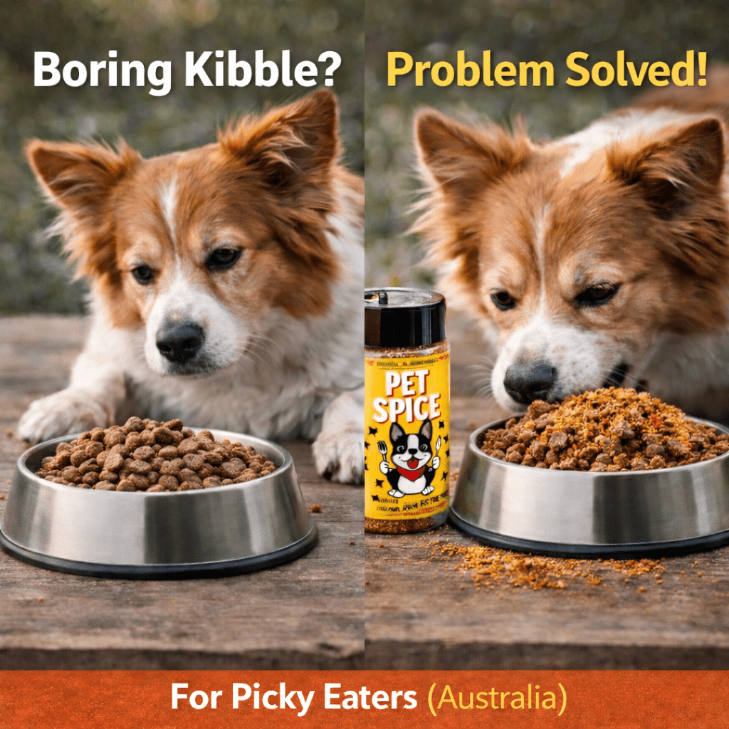 Dog Food Toppers Australia | Natural Meal Toppers for Dogs - Bark with Buster