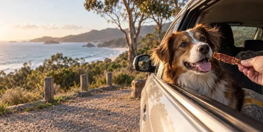 Don't Forget Your Dog's Jerky: The Travel Treat That Keeps Pups Happy on Road Trips - Bark with Buster