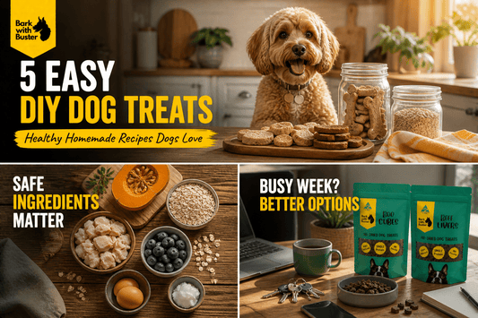 Homemade Dog Treats Australia: 5 Easy Natural DIY Recipes Dogs Love - Bark with Buster