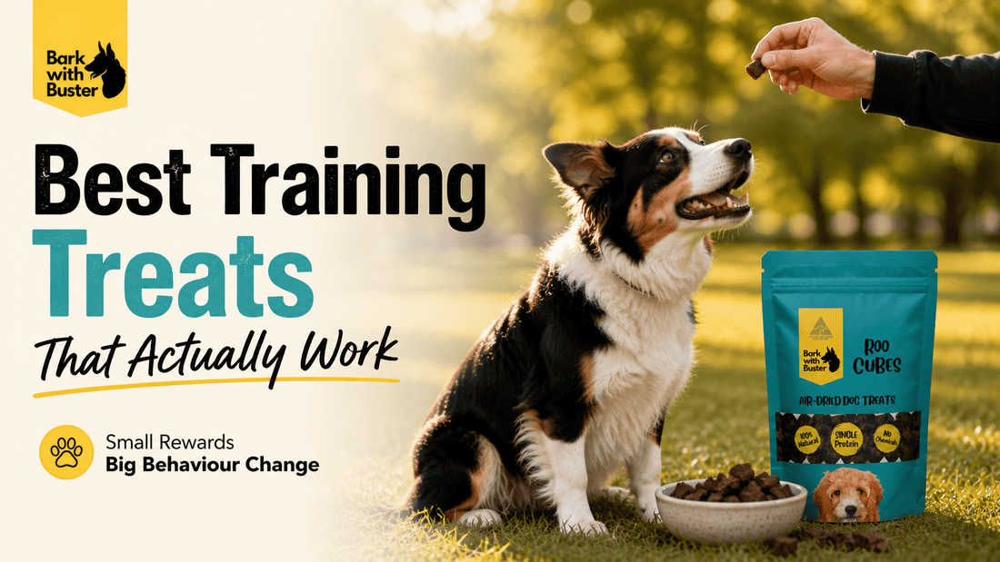 How to Mentally Stimulate Your Dog Naturally | Enrichment Guide Australia 2026 - Bark with Buster