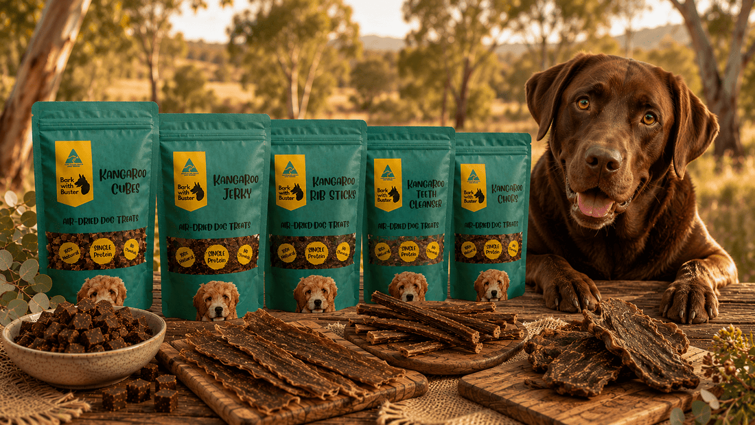 Australian made kangaroo dog treats with natural air dehydrated chews and healthy Labrador beside Bark with Buster products