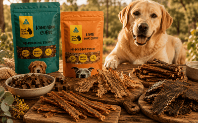 Low Fat Dog Treats Australia: Healthy Treat Options For Dogs Watching Their Waistline - Bark with Buster