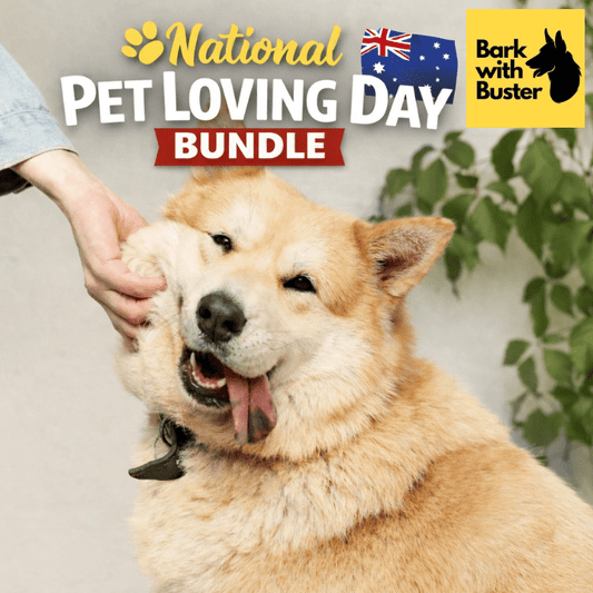 National Pet Loving Day 2026: Celebrate with Premium Australian Dog - Bark with Buster