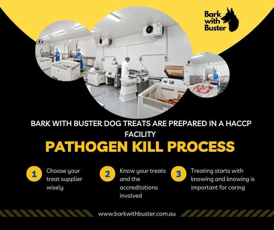 Pathogens in Dog Treats Why HACCP Accreditation Matters - Bark with Buster
