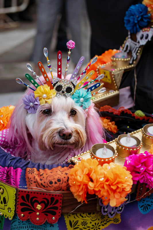 Puppy Horoscopes 2025 – Discover Your Dog’s Star Sign Personality