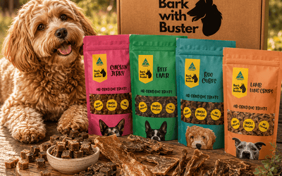 What Makes A Dog Treat Healthy? A Guide For Australian Dog Owners