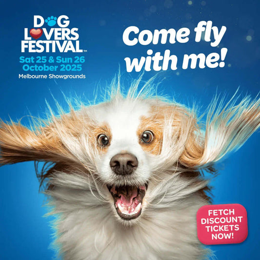 Top 3 Bark with Buster Highlights at the Dog Lovers Festival 2025 - Bark with Buster