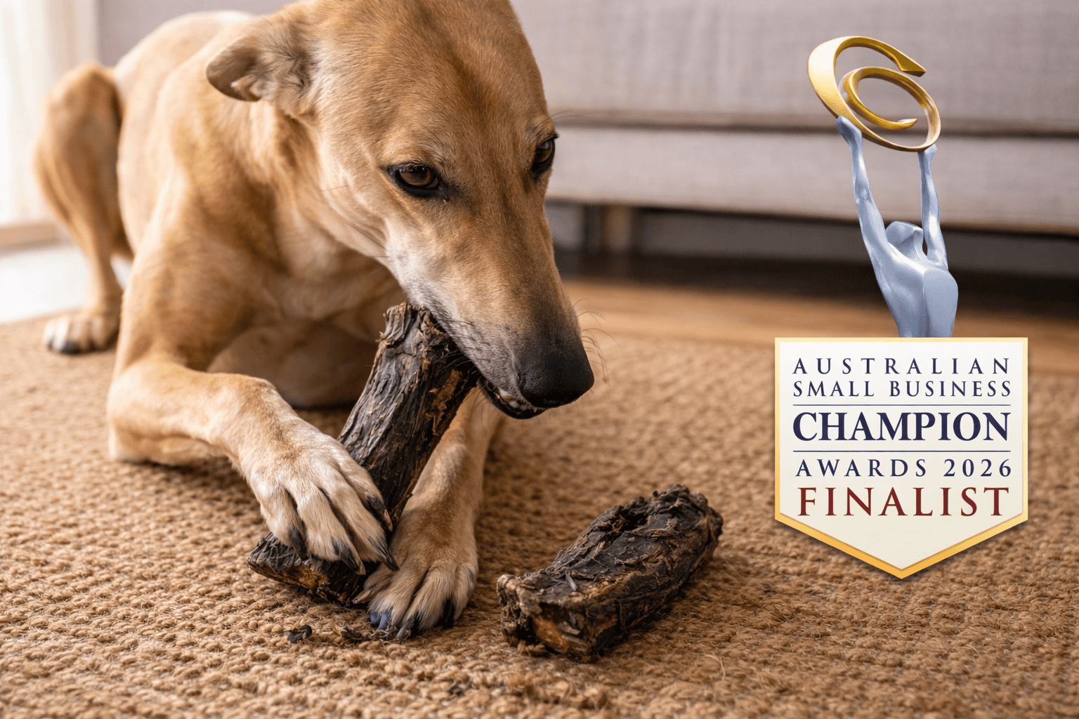 We Just Became Finalists at the Australian Small Business Champion Awards 2026 — Here’s What It Means for Your Dog - Bark with Buster