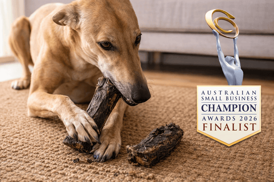 We Just Became Finalists at the Australian Small Business Champion Awards 2026 — Here’s What It Means for Your Dog - Bark with Buster
