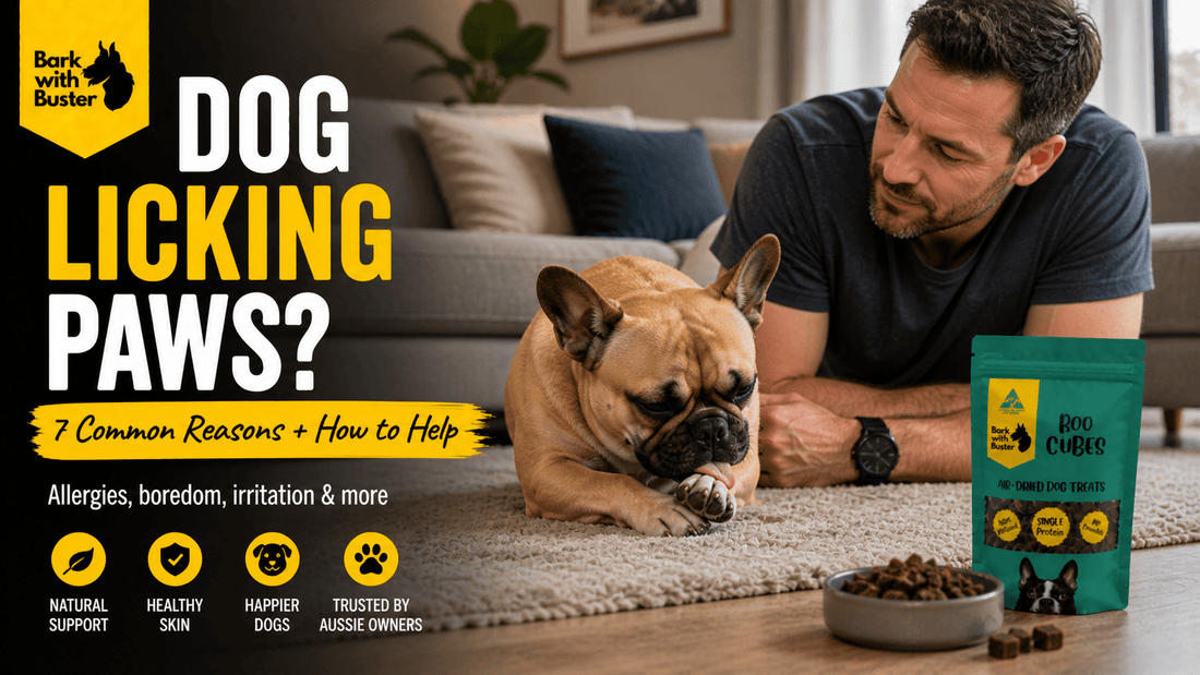 Why Do Dogs Lick Their Paws? 7 Common Reasons + Natural Ways to Help (Australia Guide) - Bark with Buster