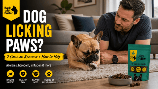Why Do Dogs Lick Their Paws? 7 Common Reasons + Natural Ways to Help (Australia Guide) - Bark with Buster