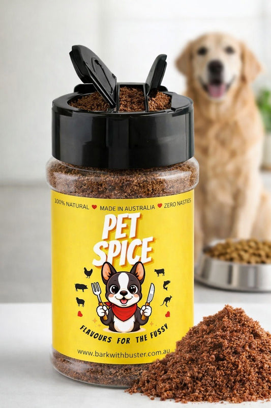 Why Is My Dog Not Eating His Food But Will Eat Treats? - Bark with Buster