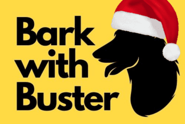 Christmas Dog Gifts
