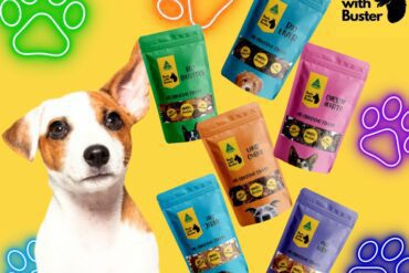 Gift Card For Dog Lovers