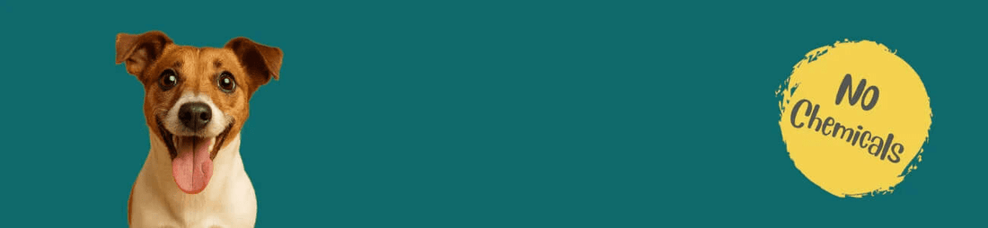 Kangaroo Dog Treats Australia - Hypoallergenic - Bark with Buster