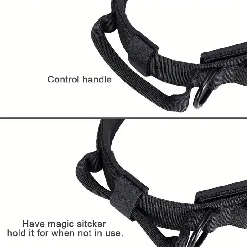Dog Collar Adjustable