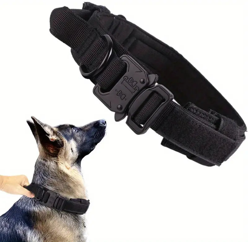 Dog Collar Adjustable