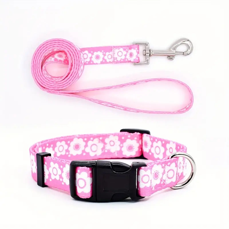 Dog Collar and Leash Set