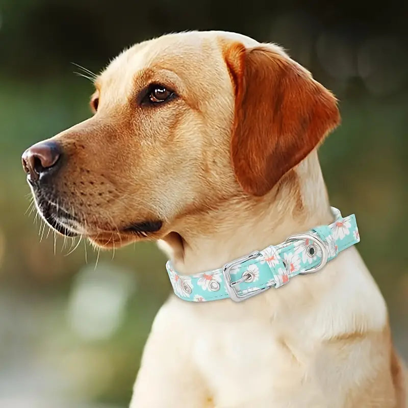 Find the Purrfect Fit: Bark with Buster Adjustable Dog & Cat Collars for Every Canine & Feline Adventure