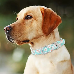 Find the Purrfect Fit: Bark with Buster Adjustable Dog & Cat Collars for Every Canine & Feline Adventure