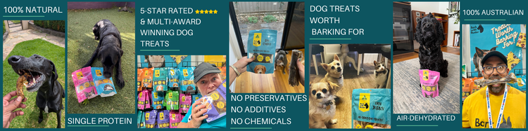 Promotional banner for dog treats with images of dogs, treats, and people interacting with them.
