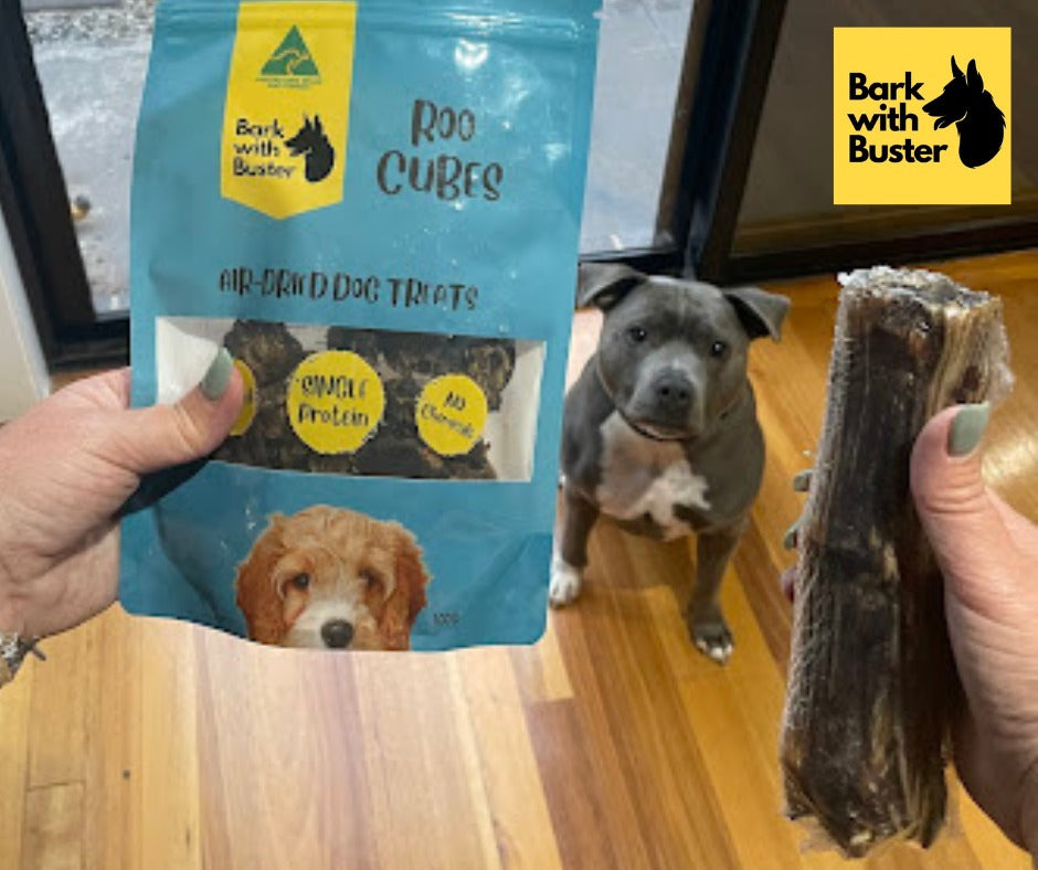 Dog treat package labeled 'Roo Cubes' held by a person with a dog in the background, featuring the 'Bark with Buster' brand.