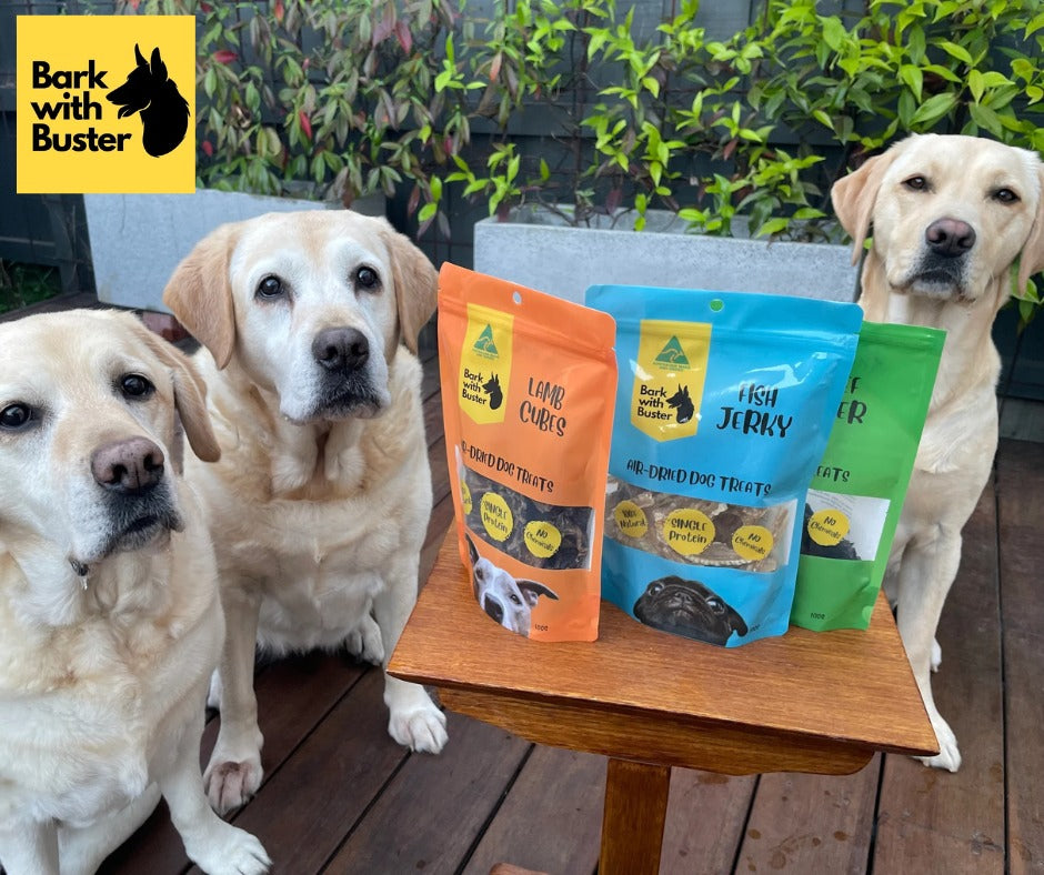 Four Labrador Retriever dogs eyeing off dog treats with 'Bark with Buster' branding.