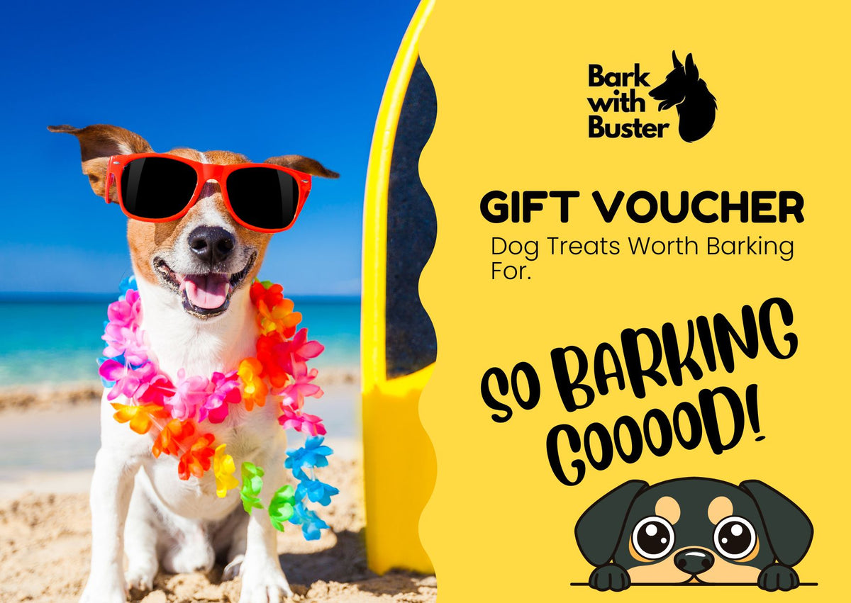Dog on a beach with sunglasses and a gift voucher for dog treats from Bark with Buster.