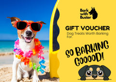 Dog on a beach with sunglasses and a gift voucher for dog treats from Bark with Buster.