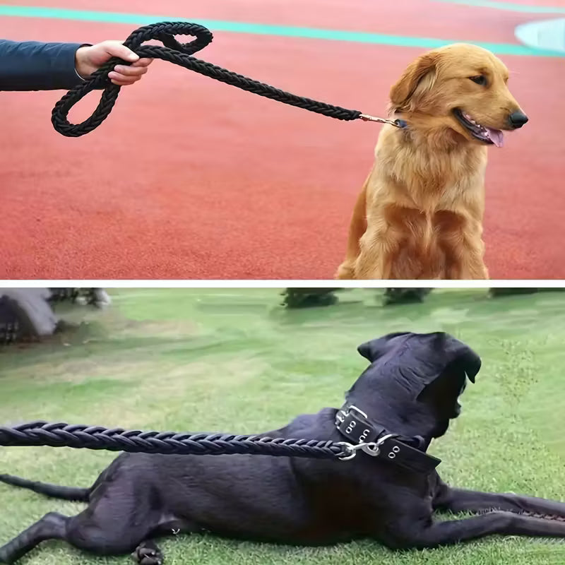 Two images showing a dog on a leash: one with a golden retriever on a red surface, and another with a black dog on grass.