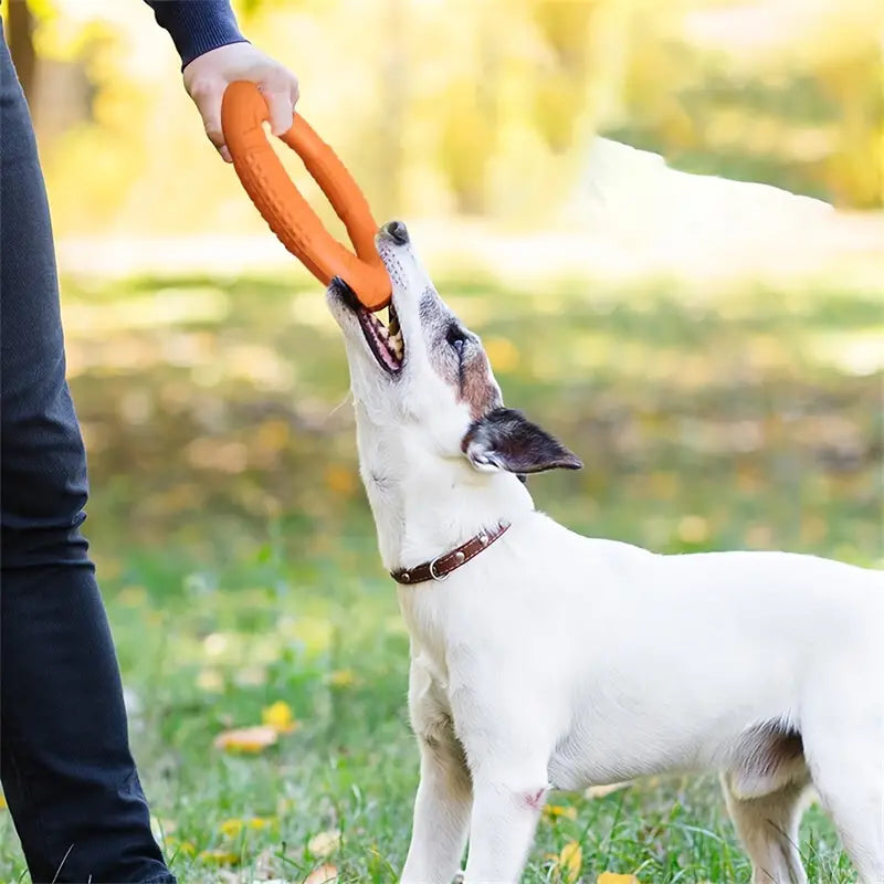Dog Tug Pull Ring