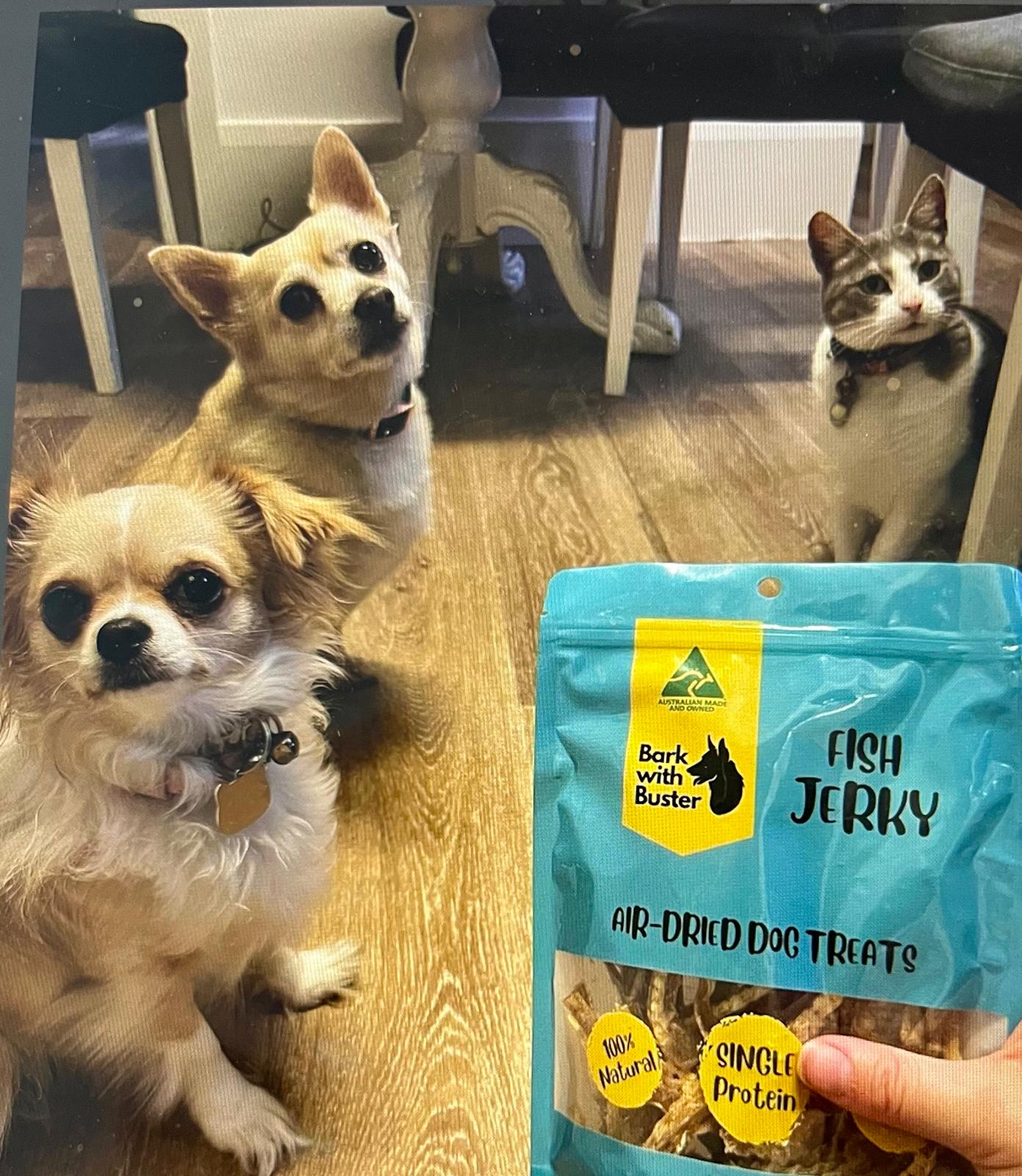Fish Jerky from Bark with Buster is great for dogs joints