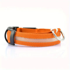 Glowing LED Dog Collar - Light Up the Night, Brighten Their Safety with Our Glowing LED Dog Collar