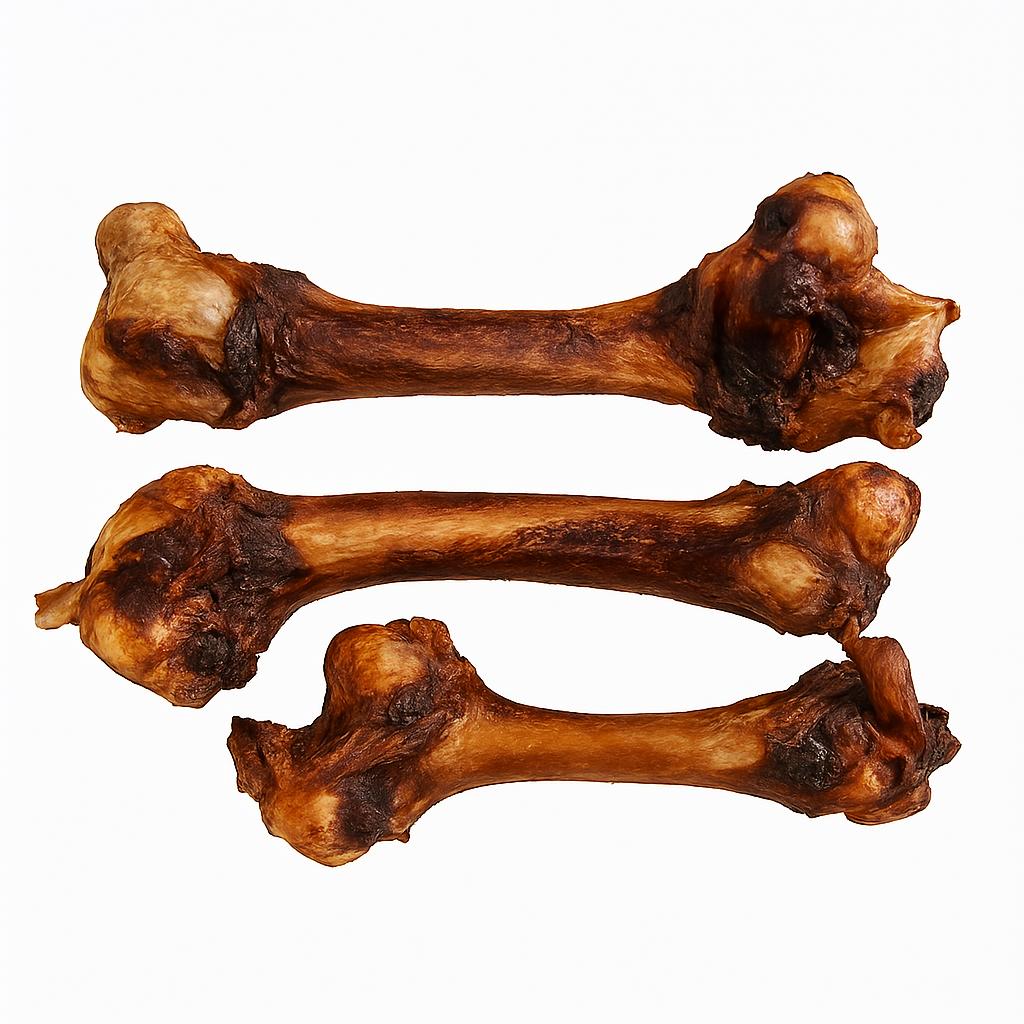 Kangaroo Femur Dog Bones