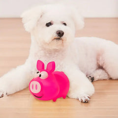 Bark with Buster's Squeaky Fun: The Pig Chew Toy Your Dog Will Oink About!