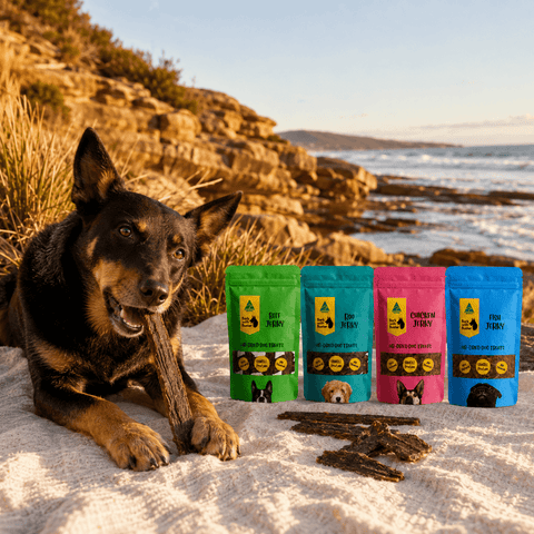 Australian Dog Jerky Variety Pack 4 x 200g - Bark with Buster