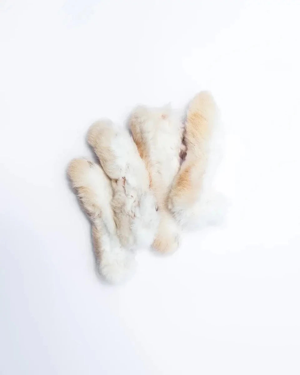 Australian Rabbit Feet Dog Treats - Bark with Buster