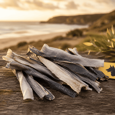 Australian Shark Skin Dog Treat Sticks - Bark with Buster