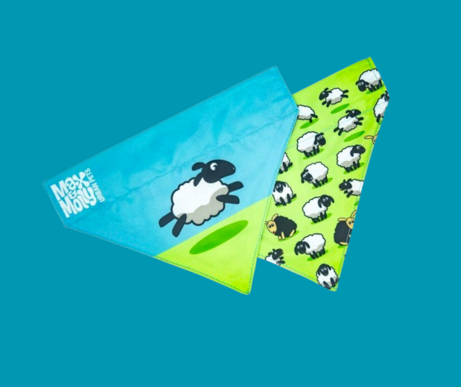 Max & Molly Bandana for Cats & Dogs - Black Sheep