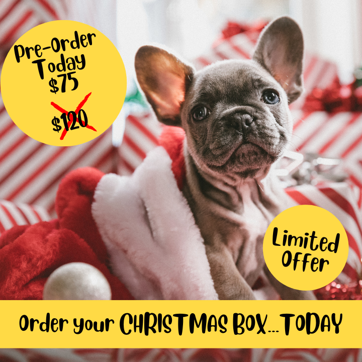 Christmas Dog Treats Buster Box