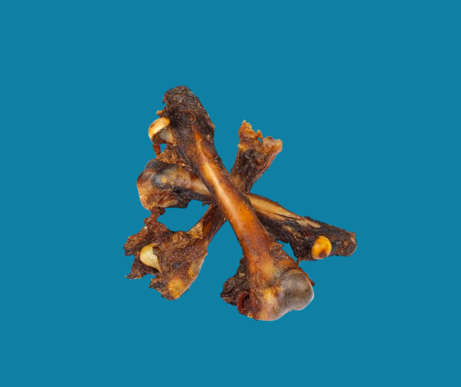 Kangaroo Femur Dog Bones