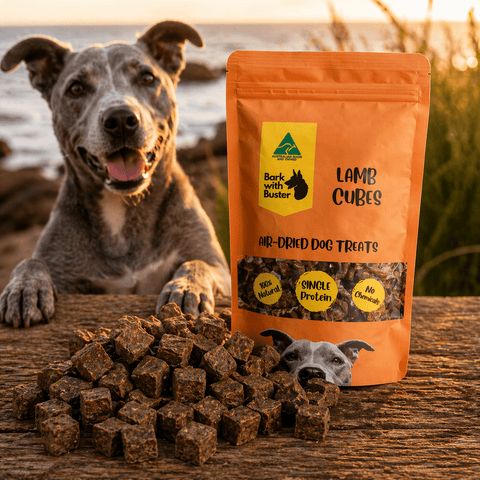 Lamb Cube Dog Treats Australia with happy dog and Bark with Buster lamb training treats made from 100% Australian lamb