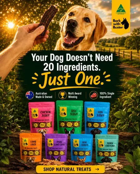 A promotional dog treat advertisement showing a yellow Labrador retriever outdoors with a hand holding a treat near its face. Large text reads 'Your Dog Doesn't Need 20 Ingredients.