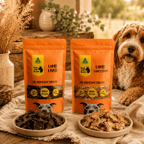 Two orange stand-up pouches of Bark Keeper Butter dog treats, labeled Lamb Liver and Lamb Lung Crops, displayed on a rustic tablecloth with bowls of the treats and a fluffy dog sitting behind them. Bark with Buster Lamb Discovery Box with 200g Australian lamb liver and 200g lamb lung crisps natural air dried dog treats 