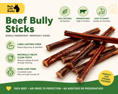 Beef Bully Sticks – Long - Lasting Chews - Bark with Buster
