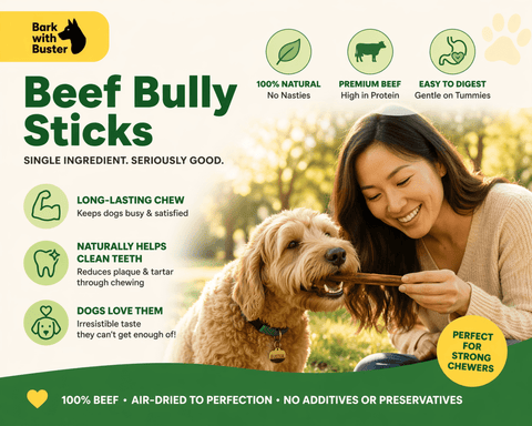 Beef Bully Sticks – Long - Lasting Chews - Bark with Buster