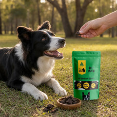 Beef Liver Dog Treats – Natural Training Rewards - Bark with Buster