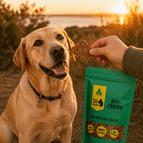 Beef Lung Crisps Dog Treats – Light Crunchy Aussie Rewards - Bark with Buster