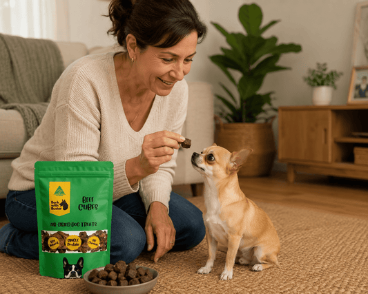 Beef Lung Cube Dog Treats Australia – Light Crunchy Training Treats - Bark with Buster